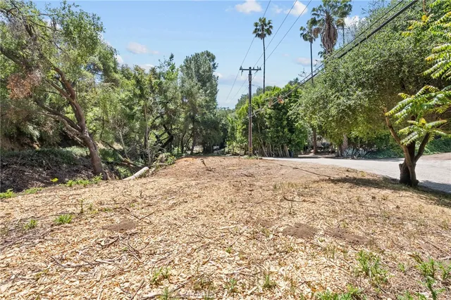a view of empty space with trees