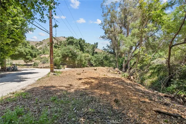 a view of road view with large trees