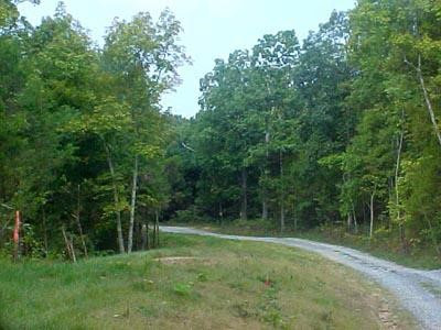0 Hwy 330 Road, Unit 4 Corinth, KY 41010 - Photo 2 of 5