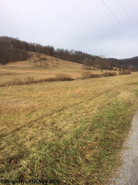 0 Laurel Run Fairview, WV 26570 - Photo 2 of 5 Gallery Image 2