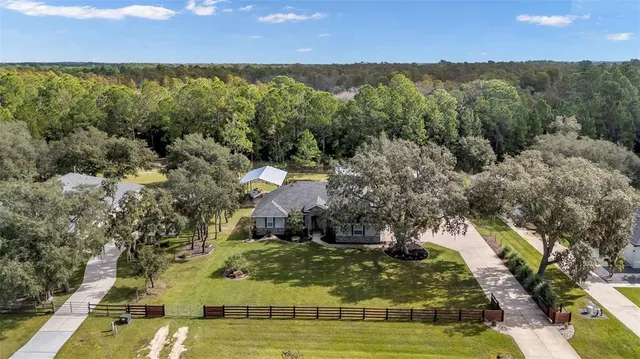 a view of a yard with large trees