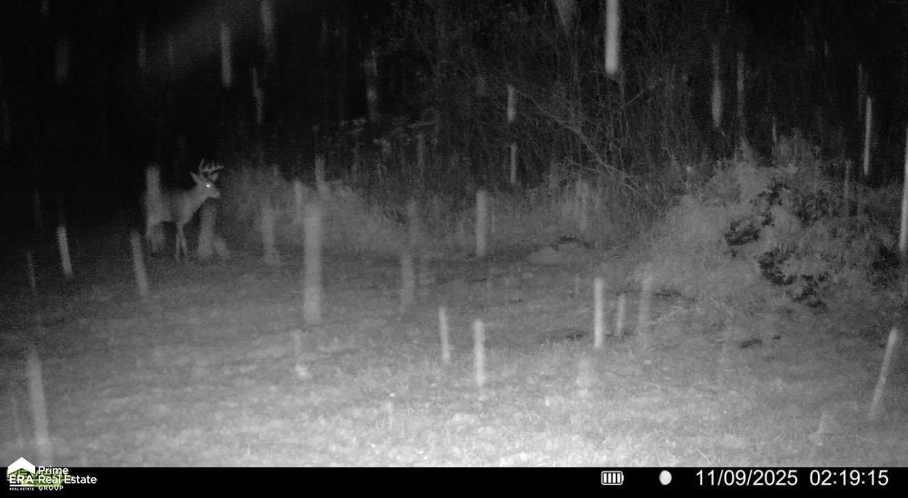 5498 Piersonville Road Columbiaville, MI 48421 - Photo 32 of 38