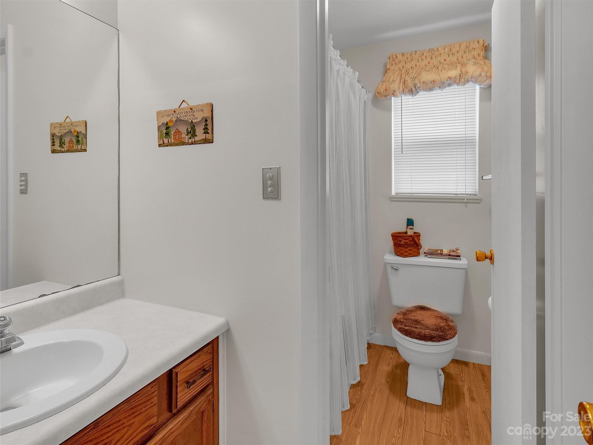 645 Mouzon Road Waynesville, NC 28785 - Photo 22 of 40 a bathroom with a sink and a toilet