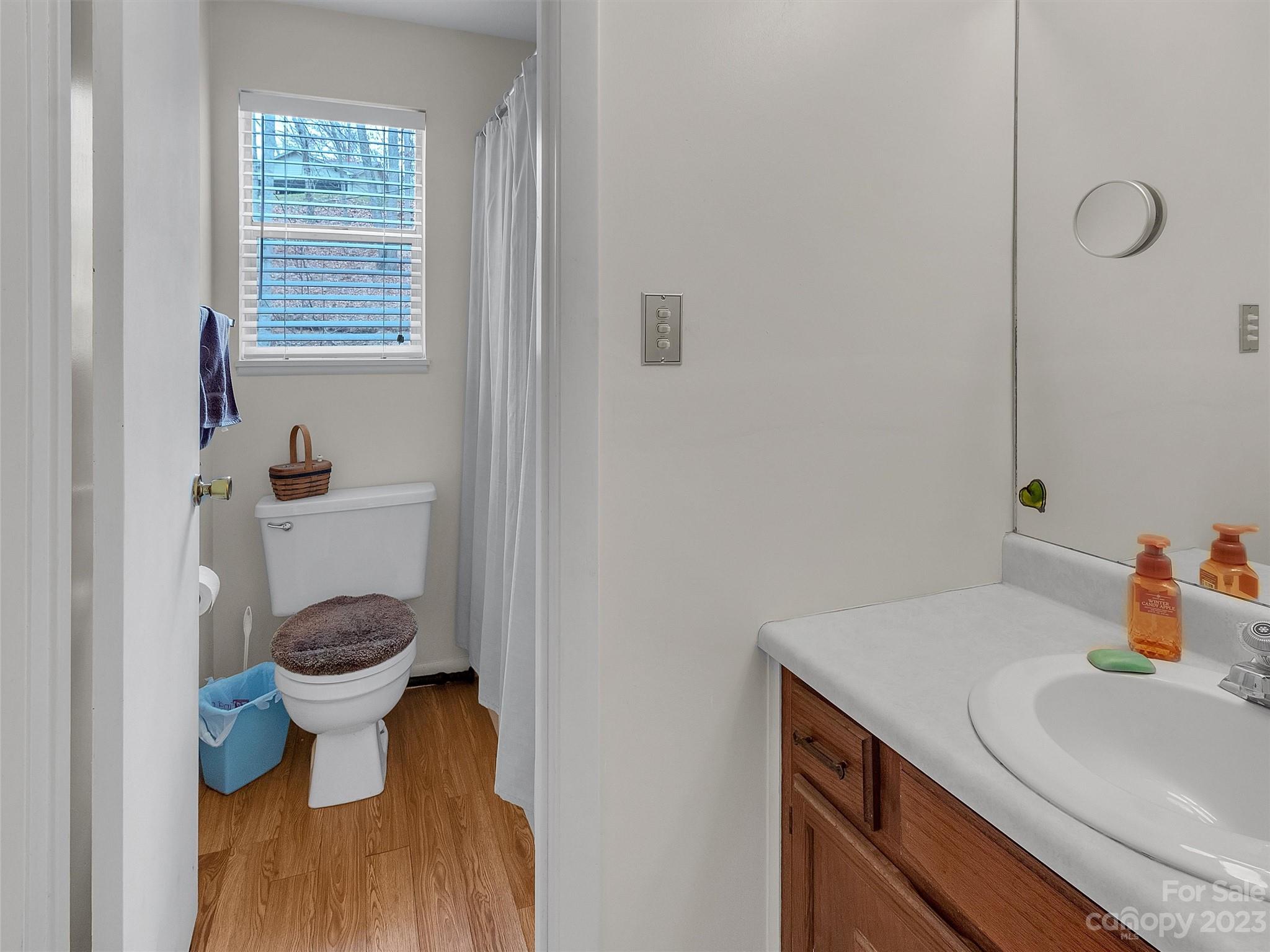 645 Mouzon Road Waynesville, NC 28785 - Photo 23 of 40 a bathroom with a sink and a toilet