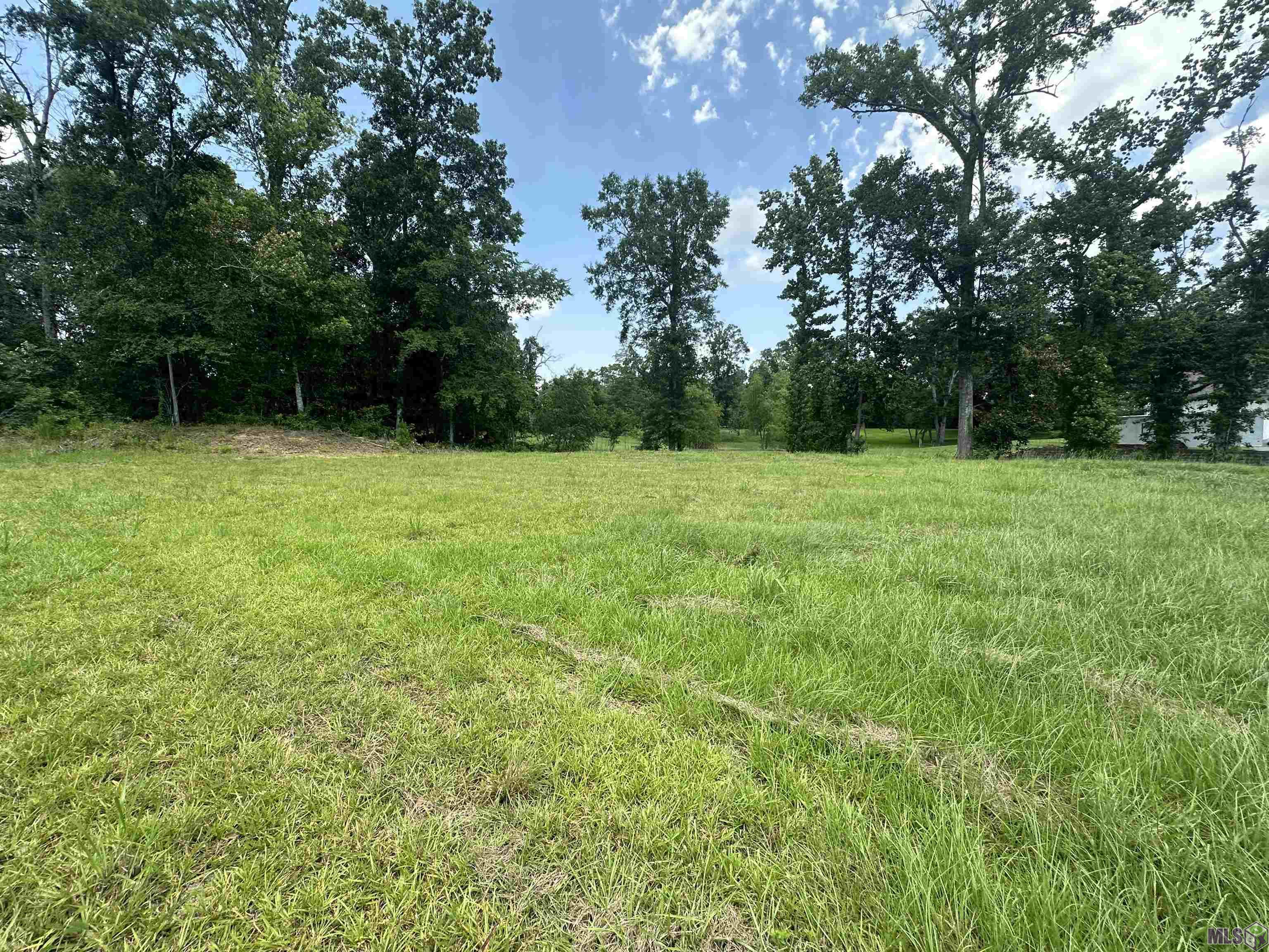 A-1 Swamp Road Prairieville, LA 70769 - Photo 2 of 4