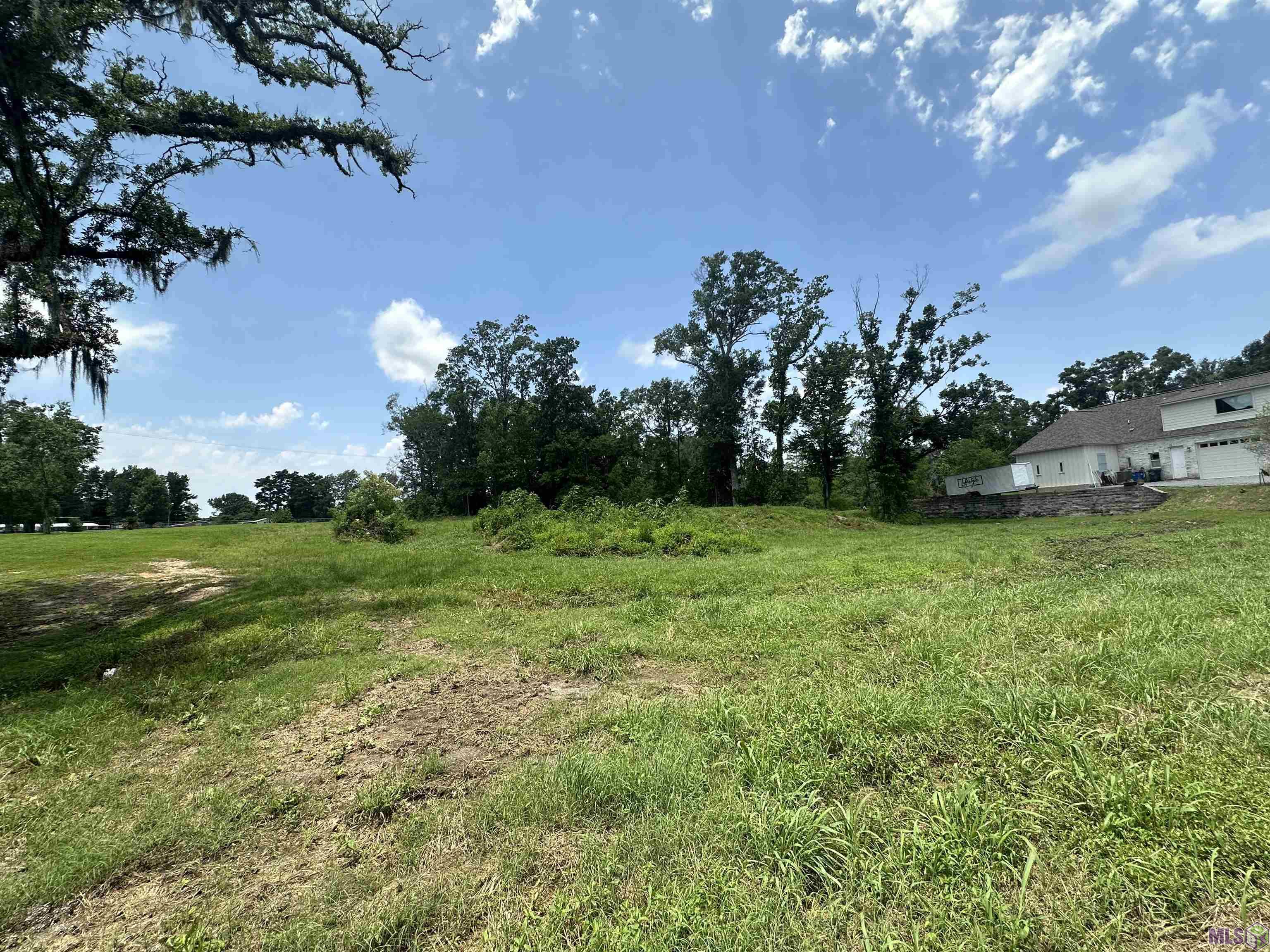 A-1 Swamp Road Prairieville, LA 70769 - Photo 3 of 4