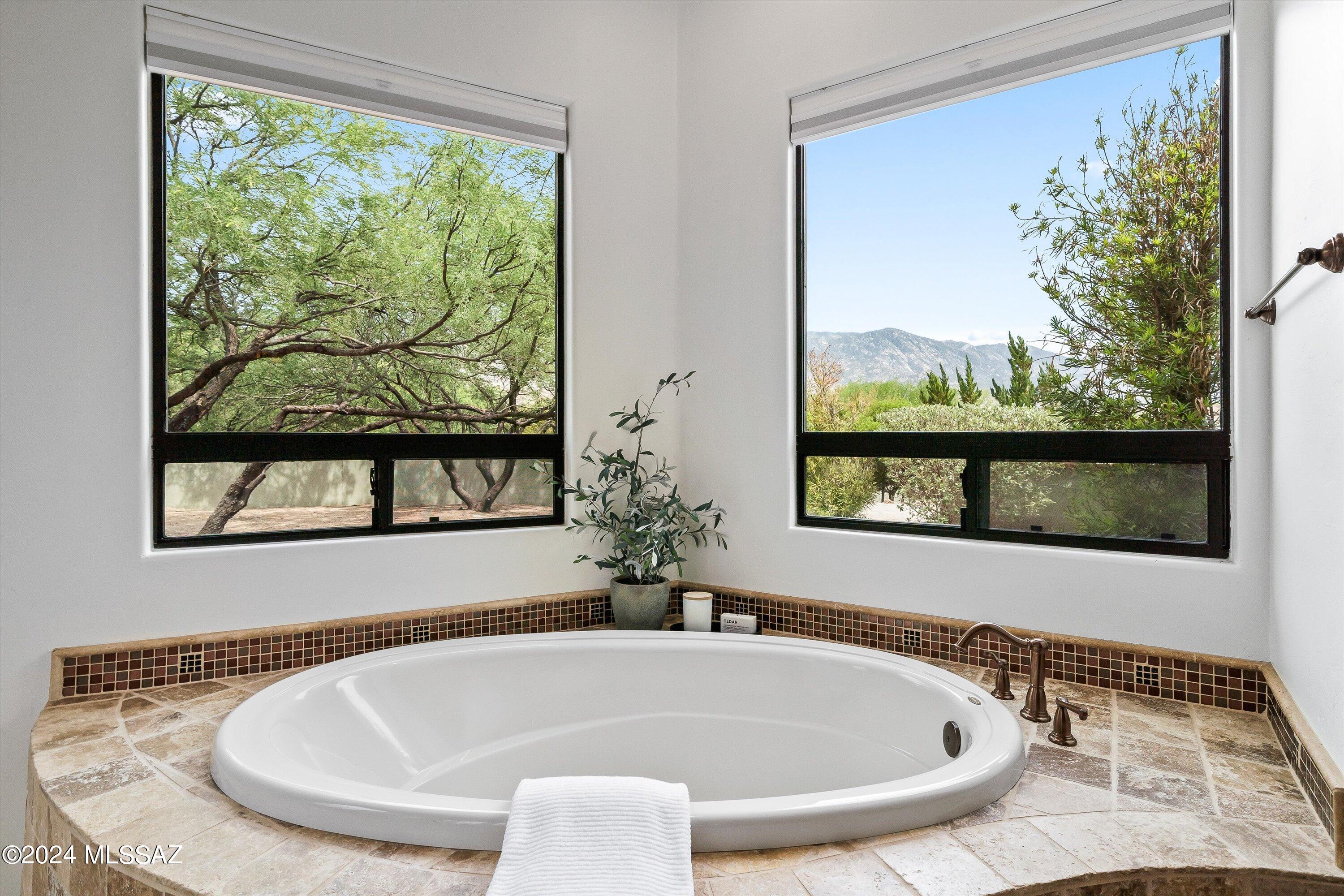 5350 East Edwin Road Tucson, AZ 85739 - Photo 23 of 46 Gallery Image 23
