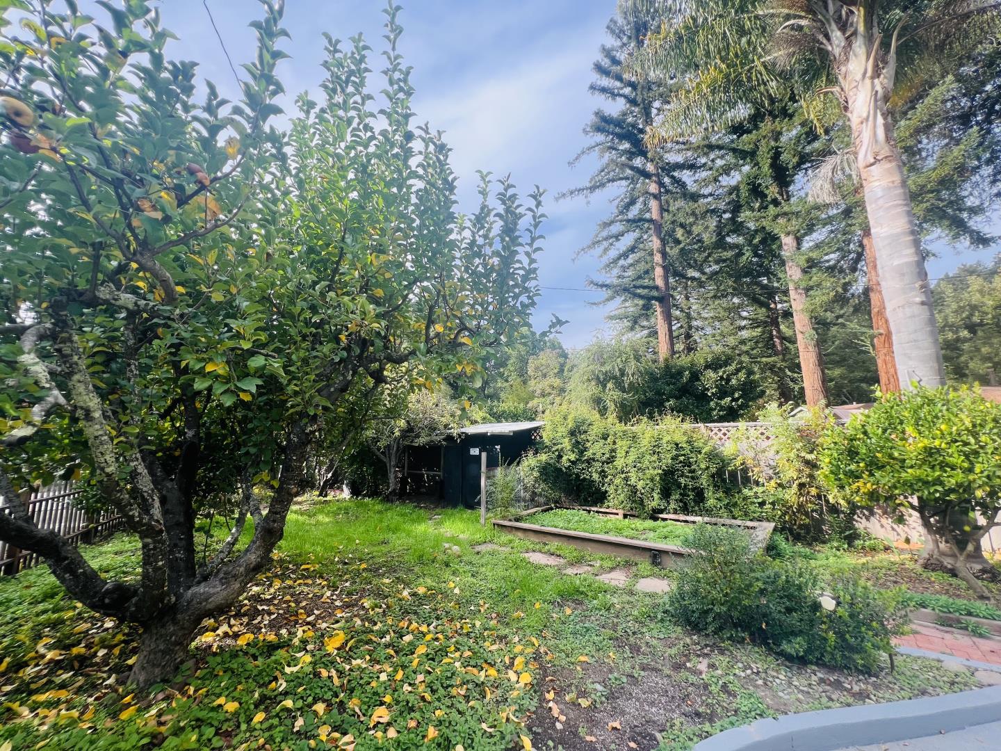 220 Lazy Woods Road Felton, CA 95018 - Photo 45 of 69 a view of a garden with large trees