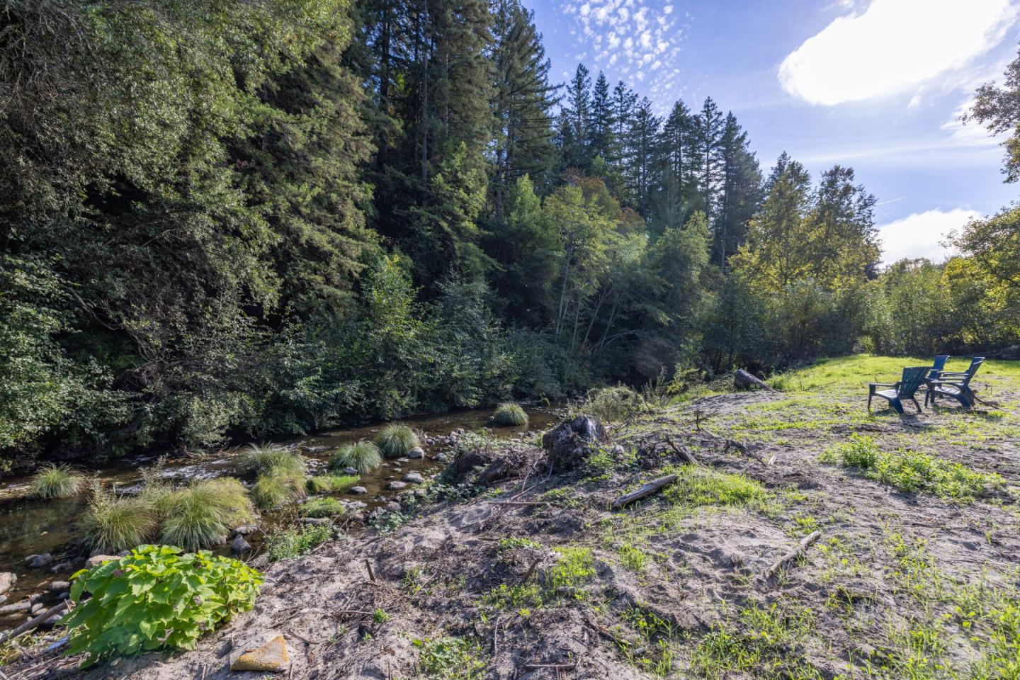 220 Lazy Woods Road Felton, CA 95018 - Photo 58 of 69 a view of a forest with a tree