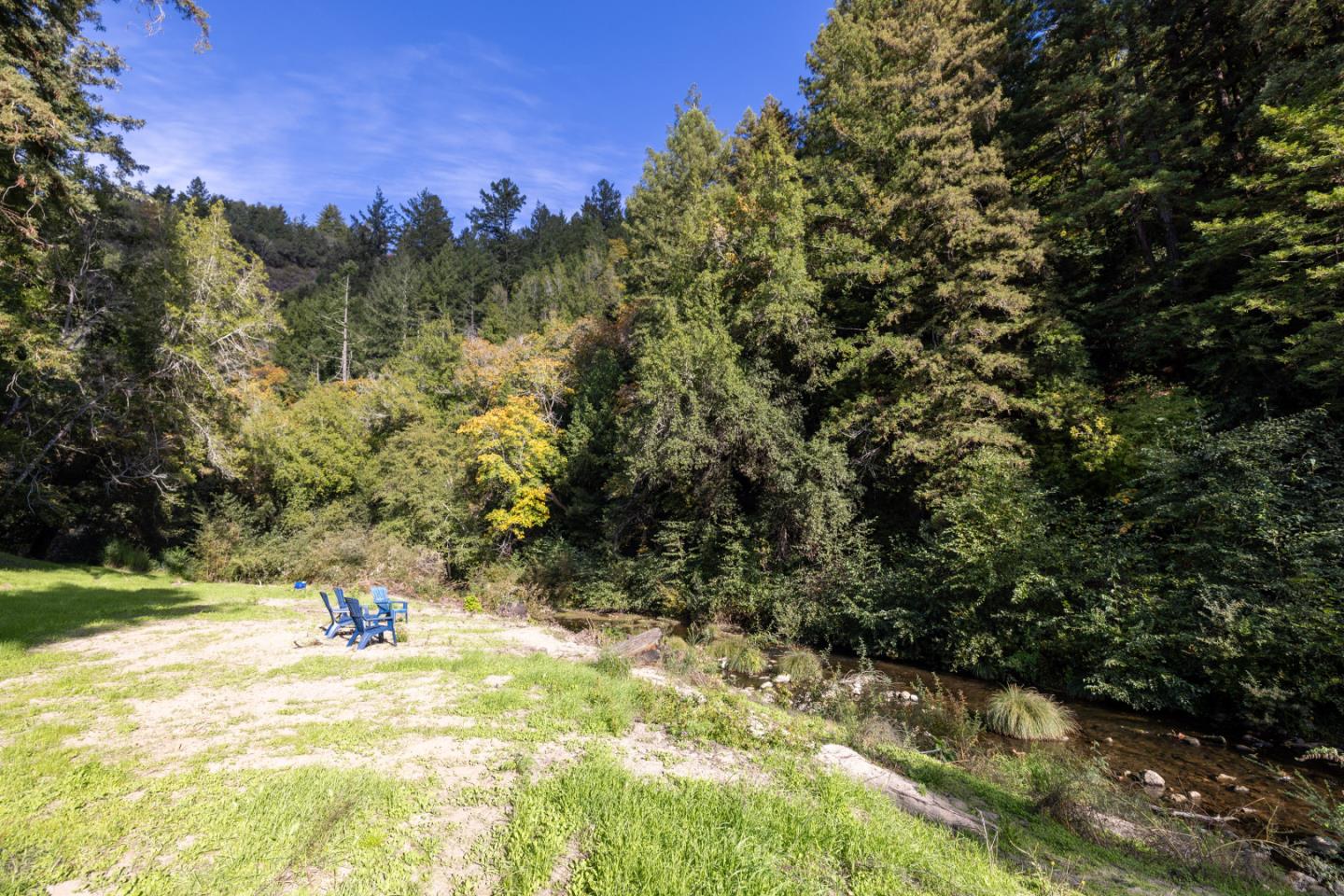 220 Lazy Woods Road Felton, CA 95018 - Photo 59 of 69 a view of a yard with a tree