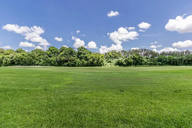a view of a building with yard
