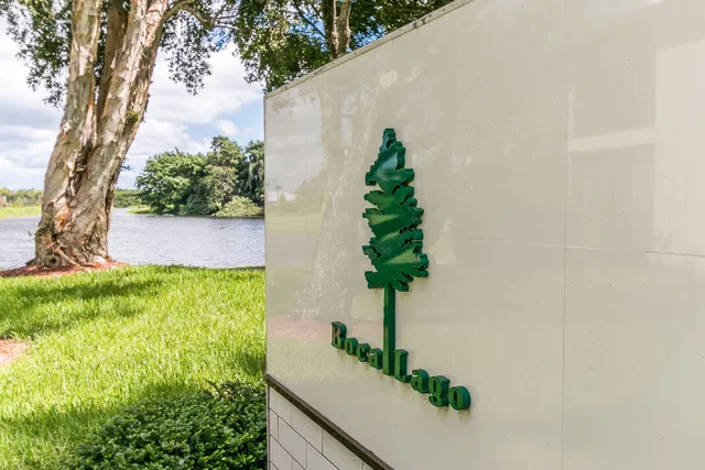 a potted plant sitting in front of a house