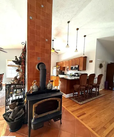 a living room with furniture a rug and a potted plant