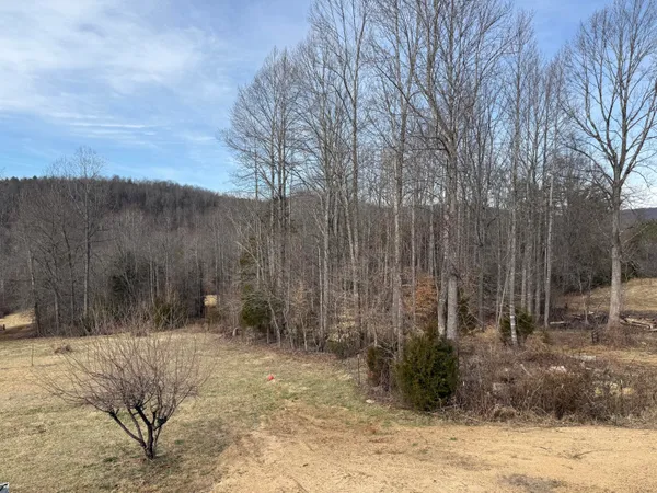 a view of backyard with green space