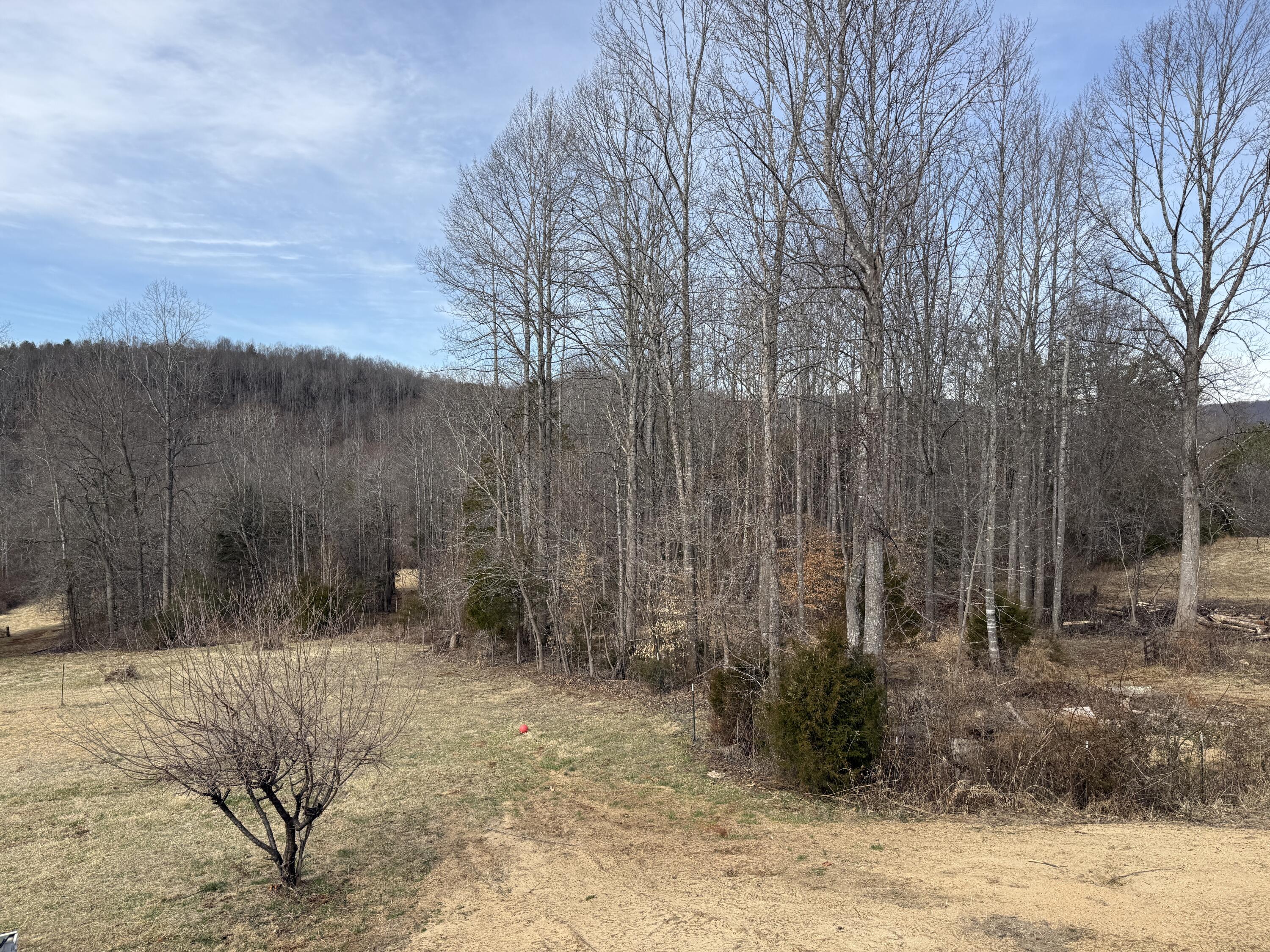 10820 Sontag Road Martinsville, VA 24112 - Photo 6 of 37 a view of backyard with green space