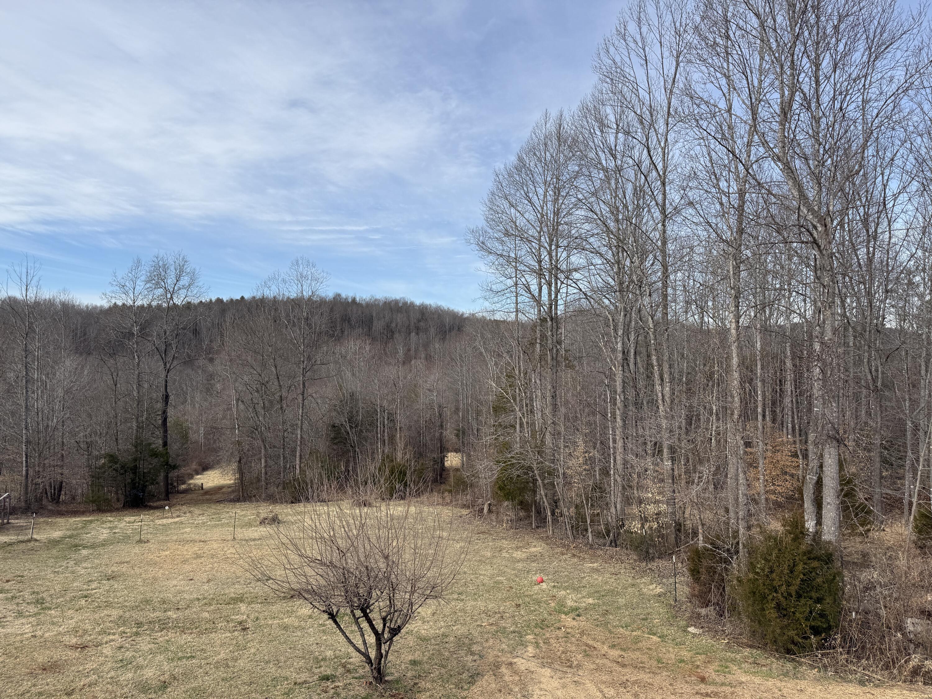 10820 Sontag Road Martinsville, VA 24112 - Photo 7 of 37 a view of a backyard
