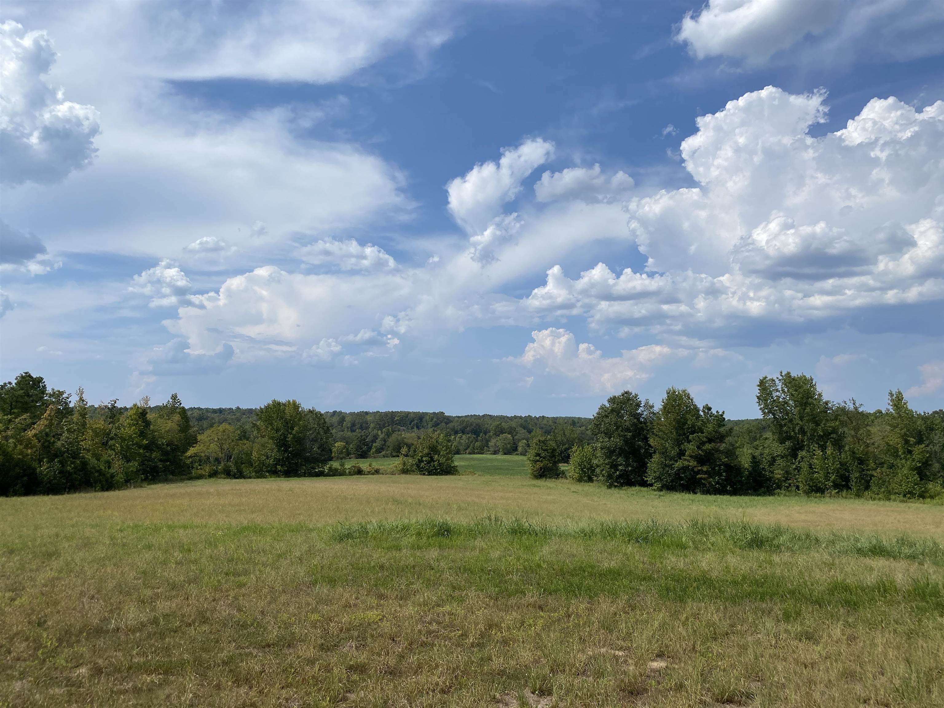 7080 Beauty Hill Road Adamsville, TN 38310 - Photo 1 of 37 Gallery Image 1