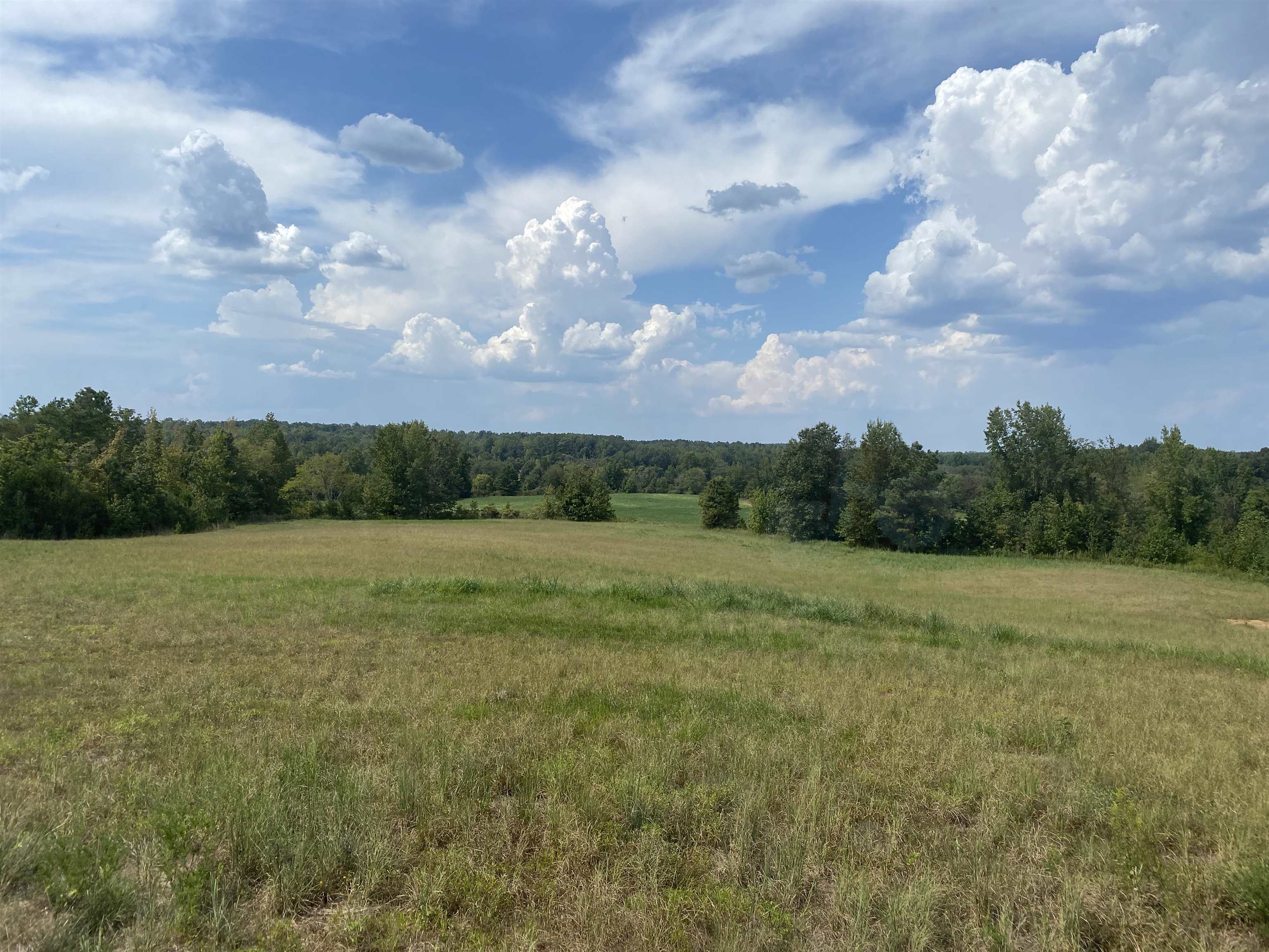 7080 Beauty Hill Road Adamsville, TN 38310 - Photo 32 of 37 View of landscape featuring a rural view
