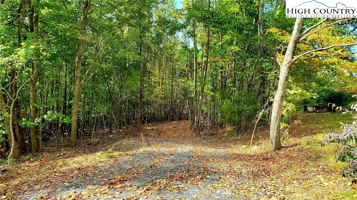 Lot Two-b Whispering Pines Road Boone, NC 28607 - Photo 1 of 11 Gallery Image 1