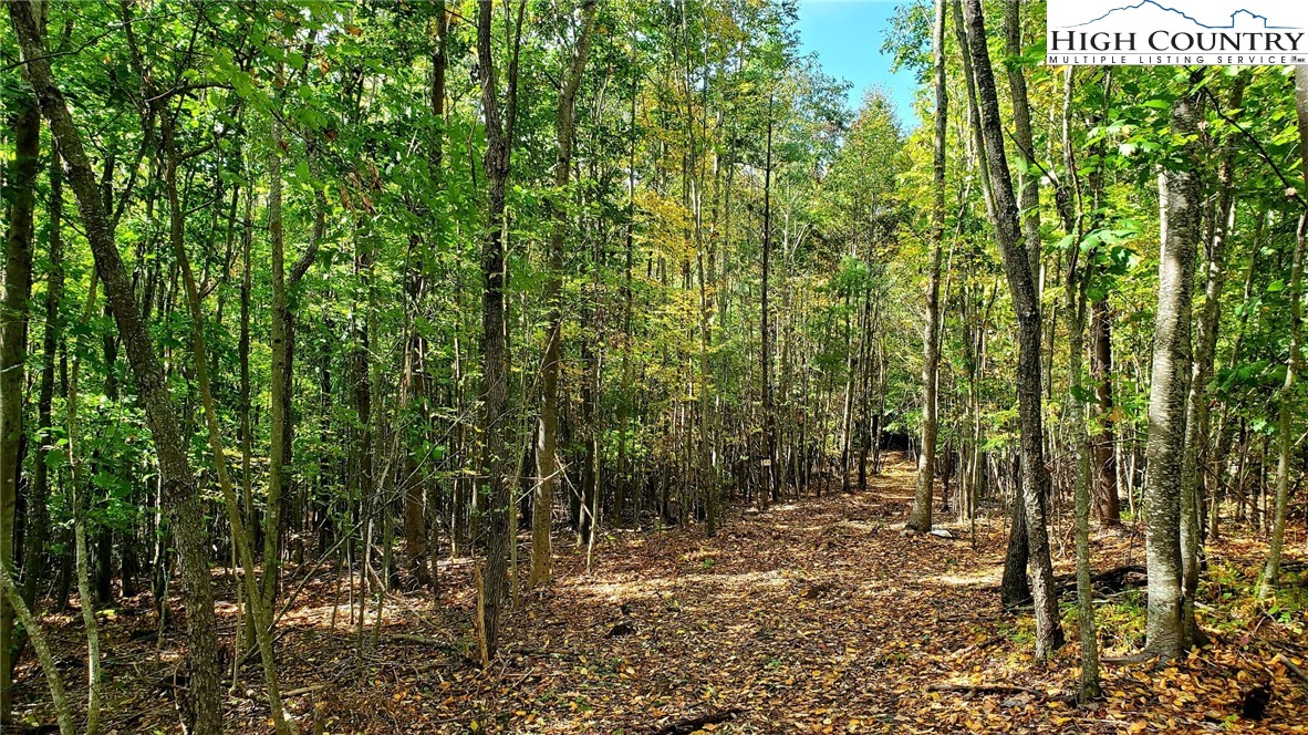 Lot Two-b Whispering Pines Road Boone, NC 28607 - Photo 5 of 11 Gallery Image 5
