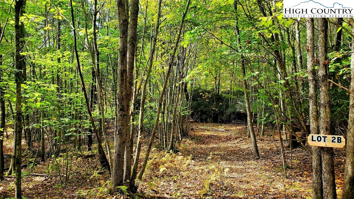 Lot Two-b Whispering Pines Road Boone, NC 28607 - Photo 8 of 11 Gallery Image 8