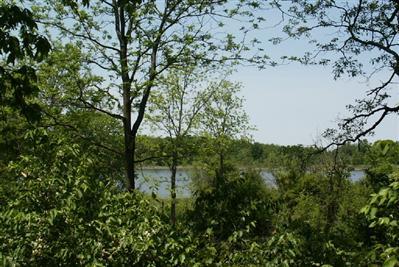 61050 Middle Colon Road Burr Oak, MI 49030 - Photo 3 of 10 Additional Photo