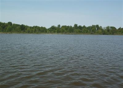 61050 Middle Colon Road Burr Oak, MI 49030 - Photo 4 of 10 Additional Photo