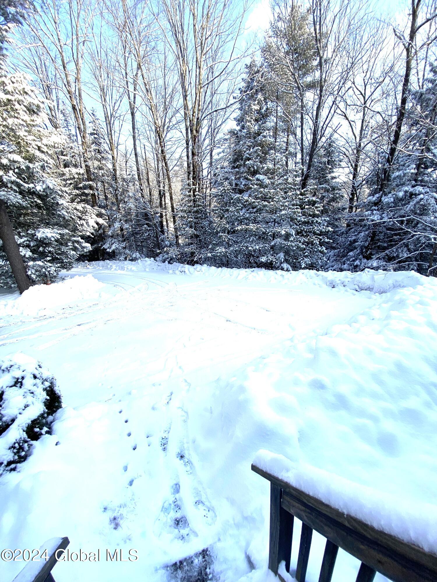 96 Rocky Ridge Road Warrensburg, NY 12885 - Photo 3 of 32 Rear Yard