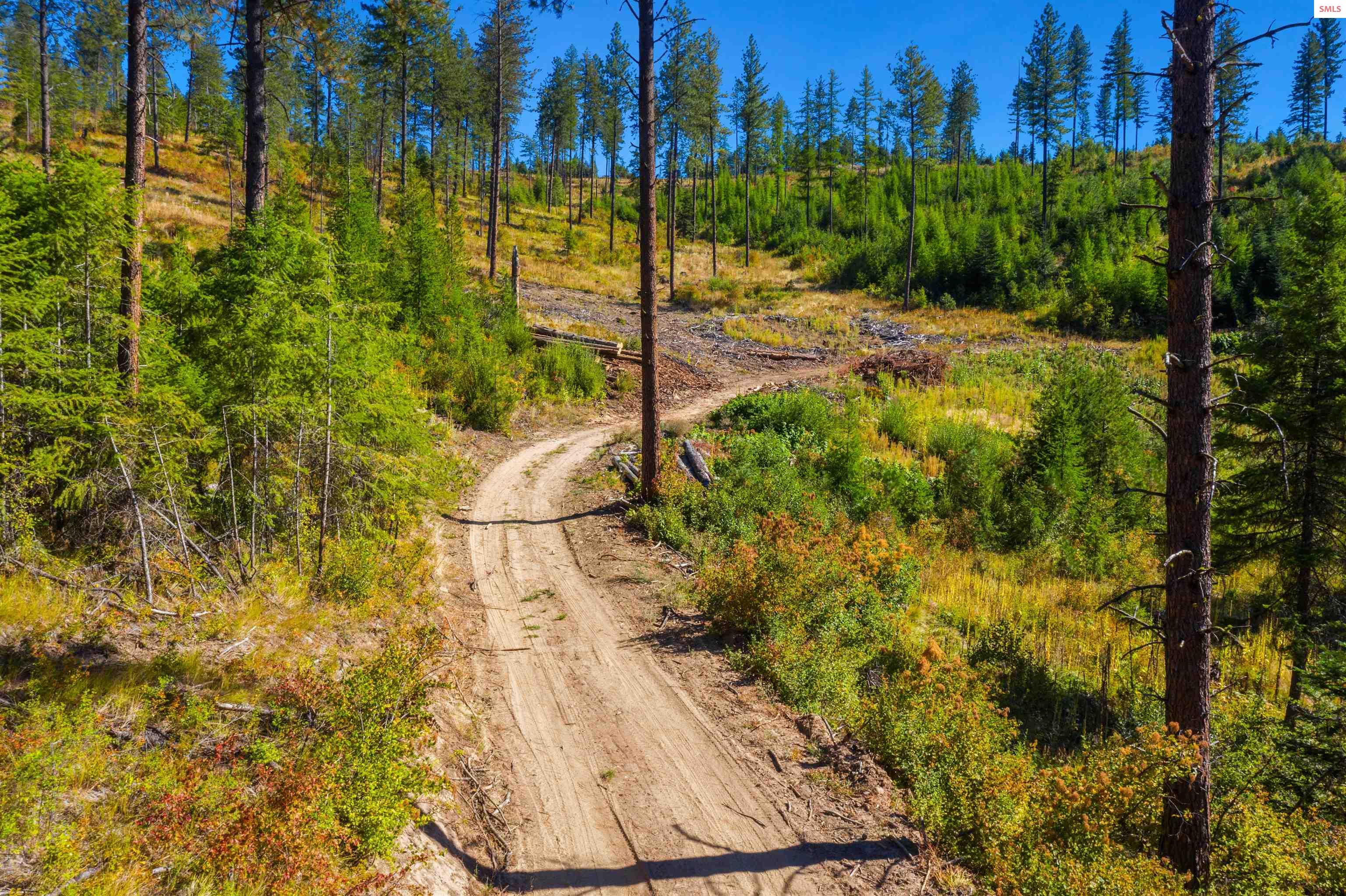 Nka Nka Stone Road Blanchard, ID 83804 - Photo 6 of 26 Gallery Image 6