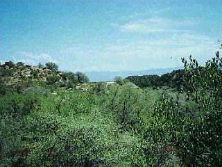 70 South Hobe Road Oracle, AZ 85623 - Photo 1 of 2