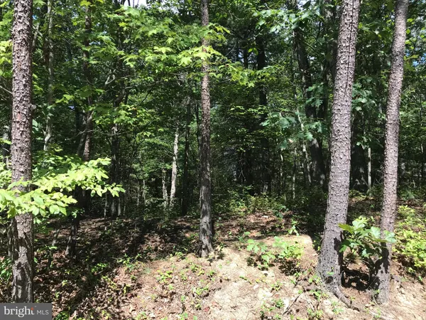 $15,000 | 0 Mallard Dr Mount, Mount Jackson, VA 22842