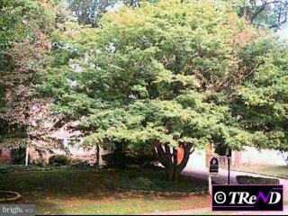 5 Rolling Road Wynnewood, PA 19096 - Photo 1 of 1