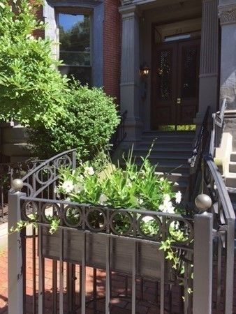 a couple of flower plants in front of building