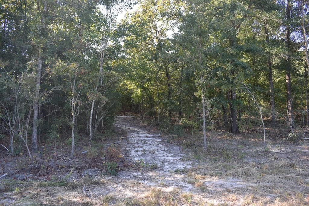 Lot 14 Riding Ridge Court Aiken, SC 29801 - Photo 4 of 7