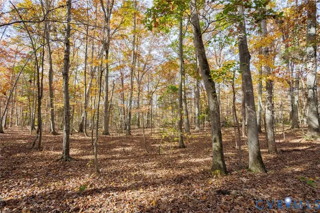 $214,999 | 0 Maidens Road, Maidens, VA 23102