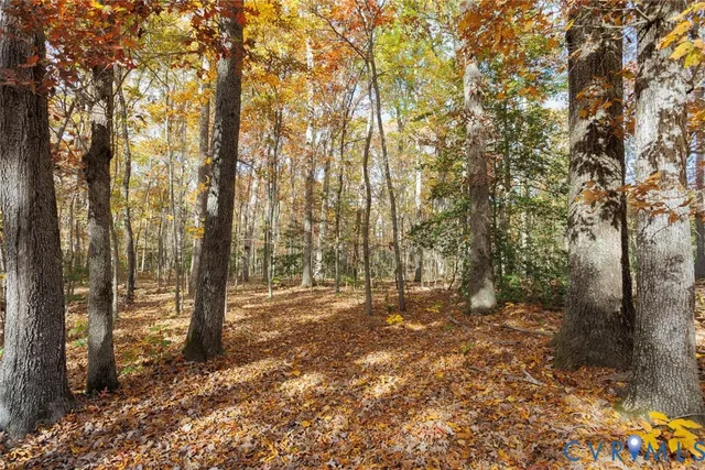 $214,999 | 0 Maidens Road, Maidens, VA 23102