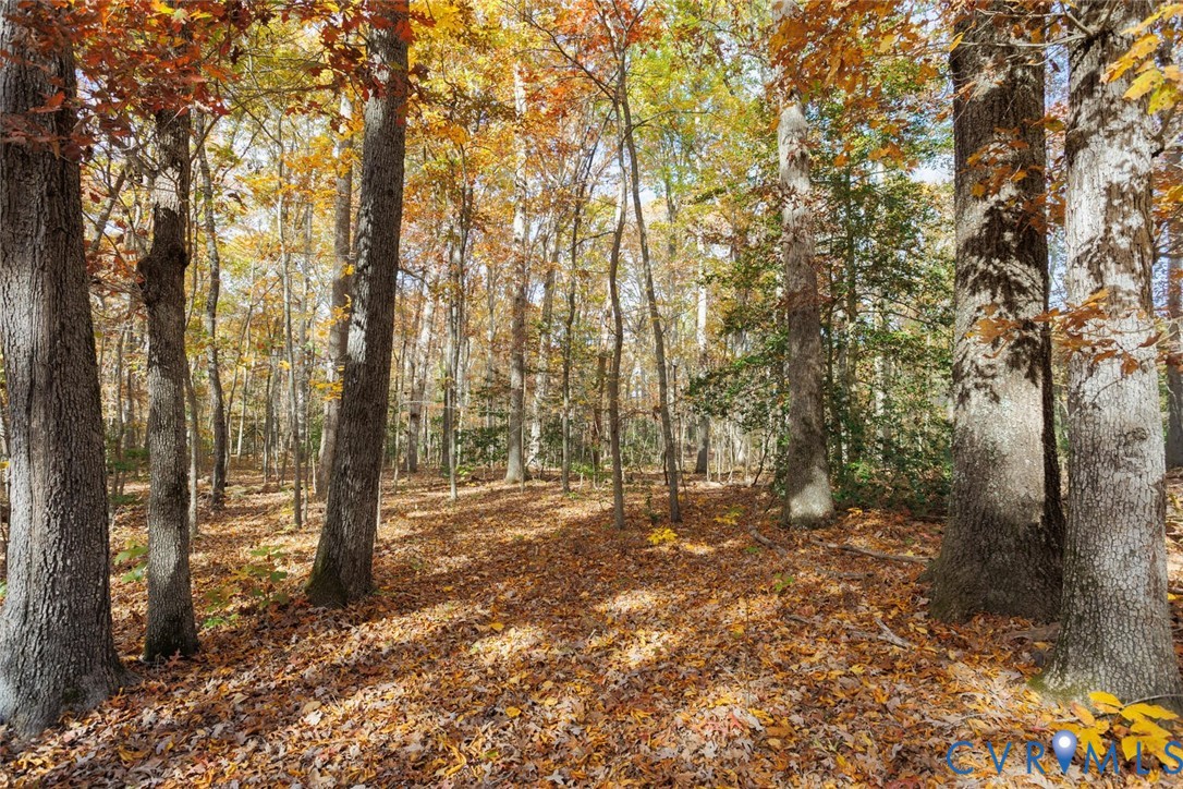 Lot 1 Maidens Road Maidens, VA 23102 - Photo 27 of 36 View of wooded area