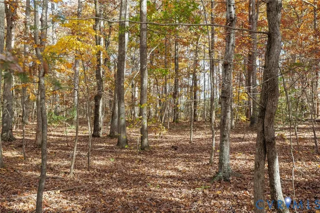 $214,999 | 0 Maidens Road, Maidens, VA 23102