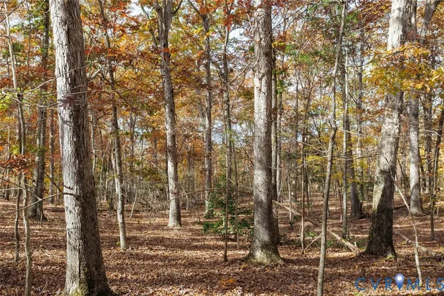 $214,999 | 0 Maidens Road, Maidens, VA 23102