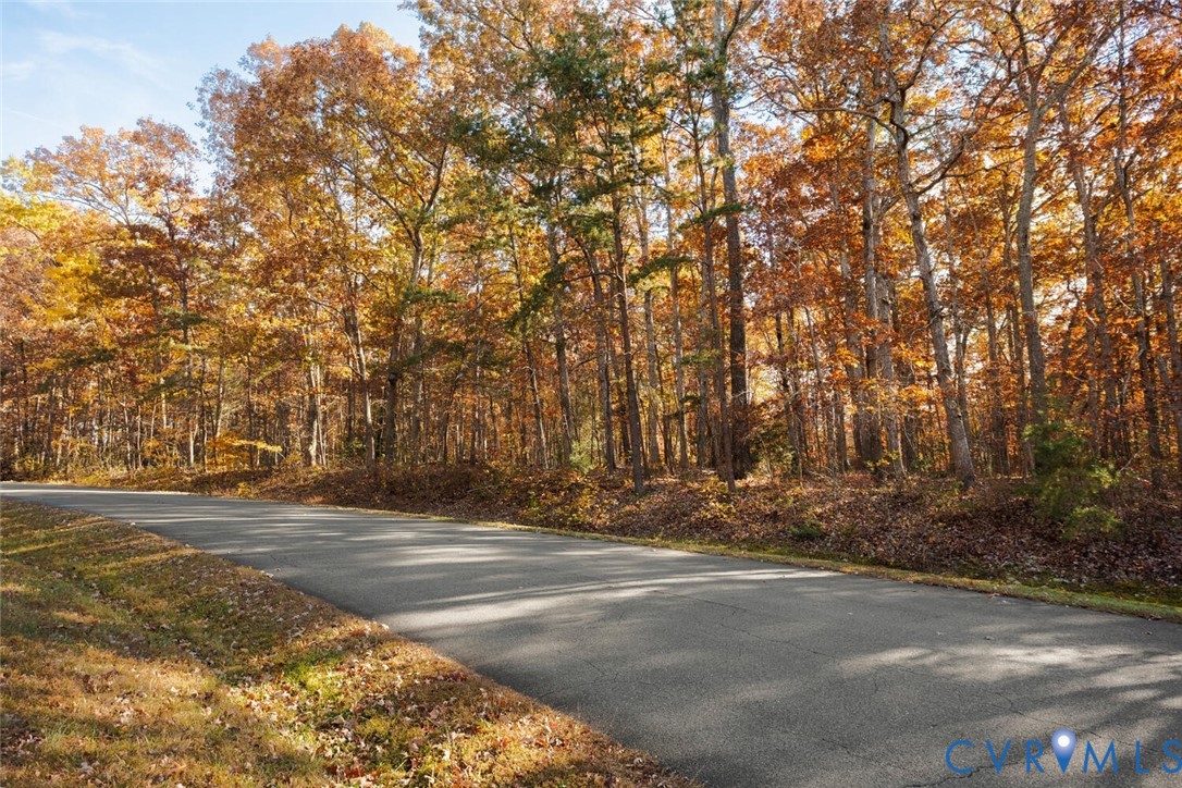 Lot 1 Maidens Road Maidens, VA 23102 - Photo 35 of 36 View of road with a wooded view