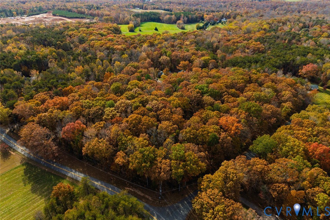 Lot 1 Maidens Road Maidens, VA 23102 - Photo 4 of 36 Aerial view