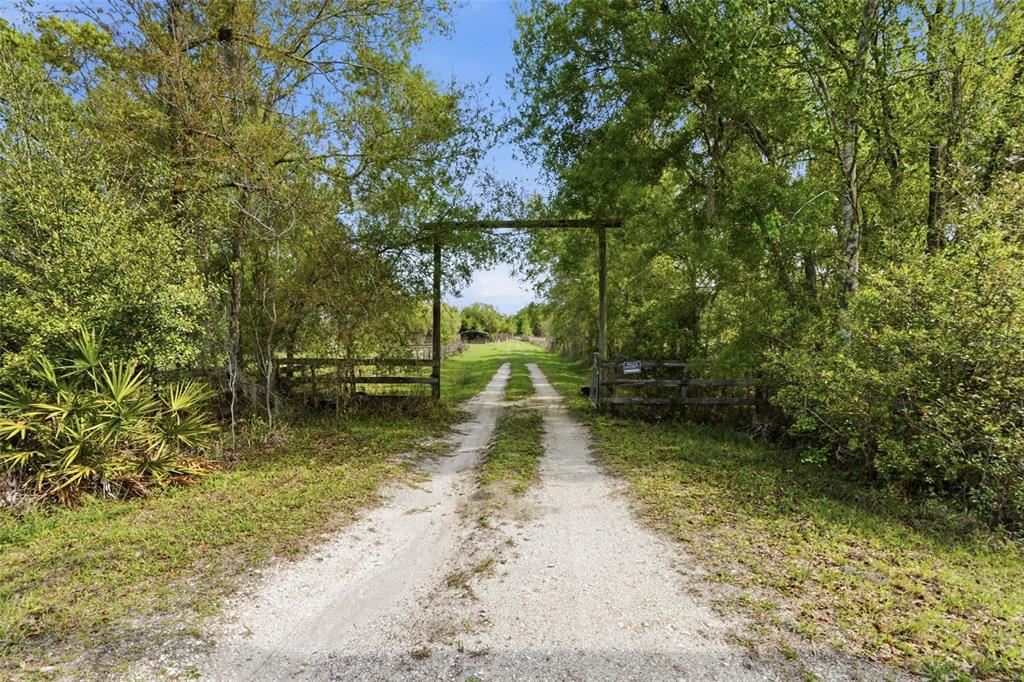 32430 Taylor Grade Parrish, FL 34219 - Photo 2 of 15 a view of swimming pool with a yard