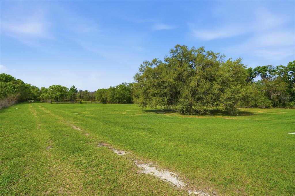 32430 Taylor Grade Parrish, FL 34219 - Photo 3 of 15 a view of a field with an tree