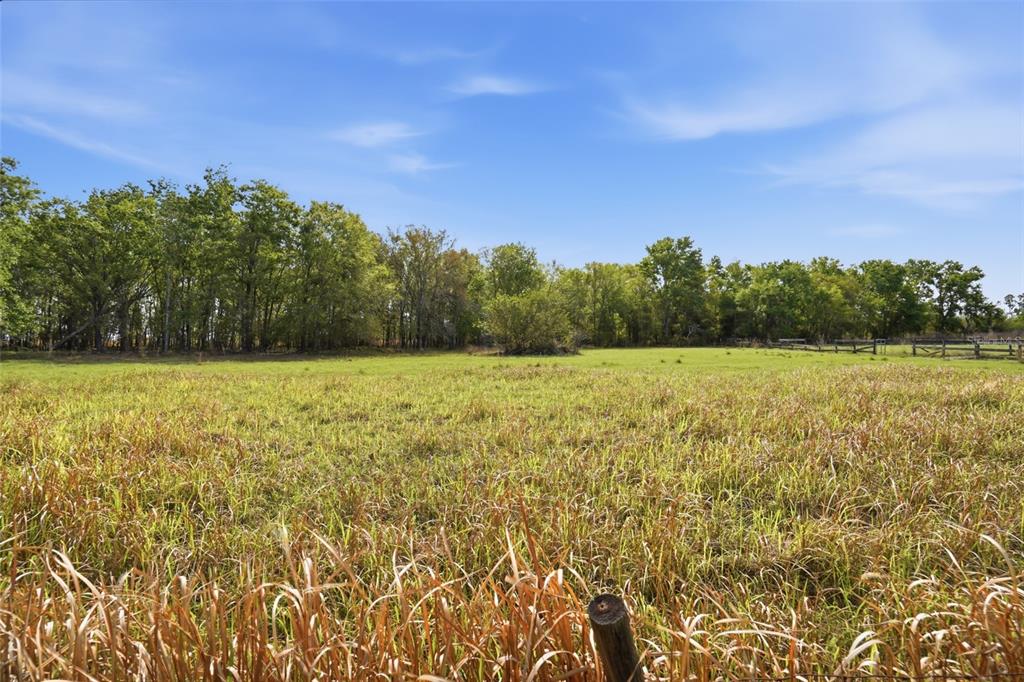 32430 Taylor Grade Parrish, FL 34219 - Photo 4 of 15 a view of a field with trees in the background