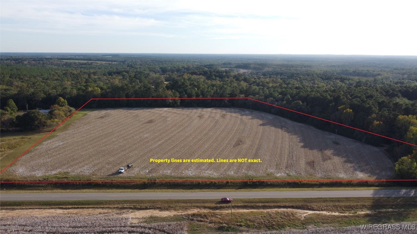 4 East County Road 4 Road Black, AL 36314 - Photo 2 of 6 Gallery Image 2