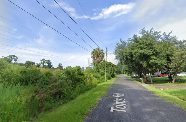 a view of a park with large trees