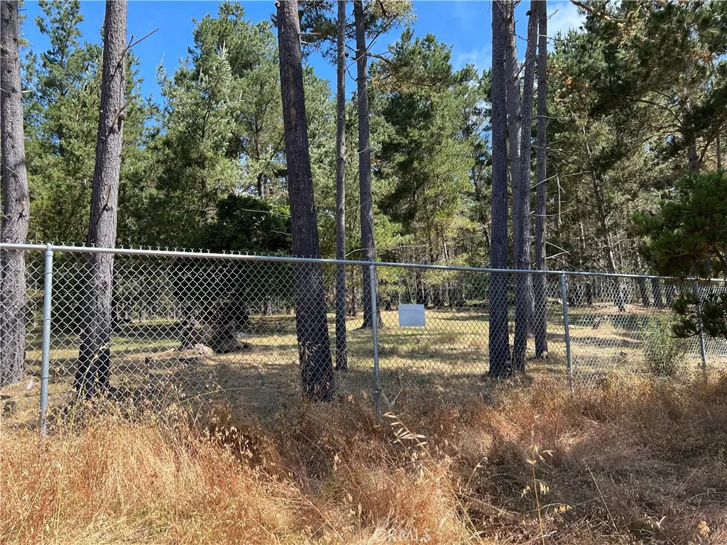0 Warren Road Cambria, CA 93428 - Photo 11 of 29 a view of a park with a trees