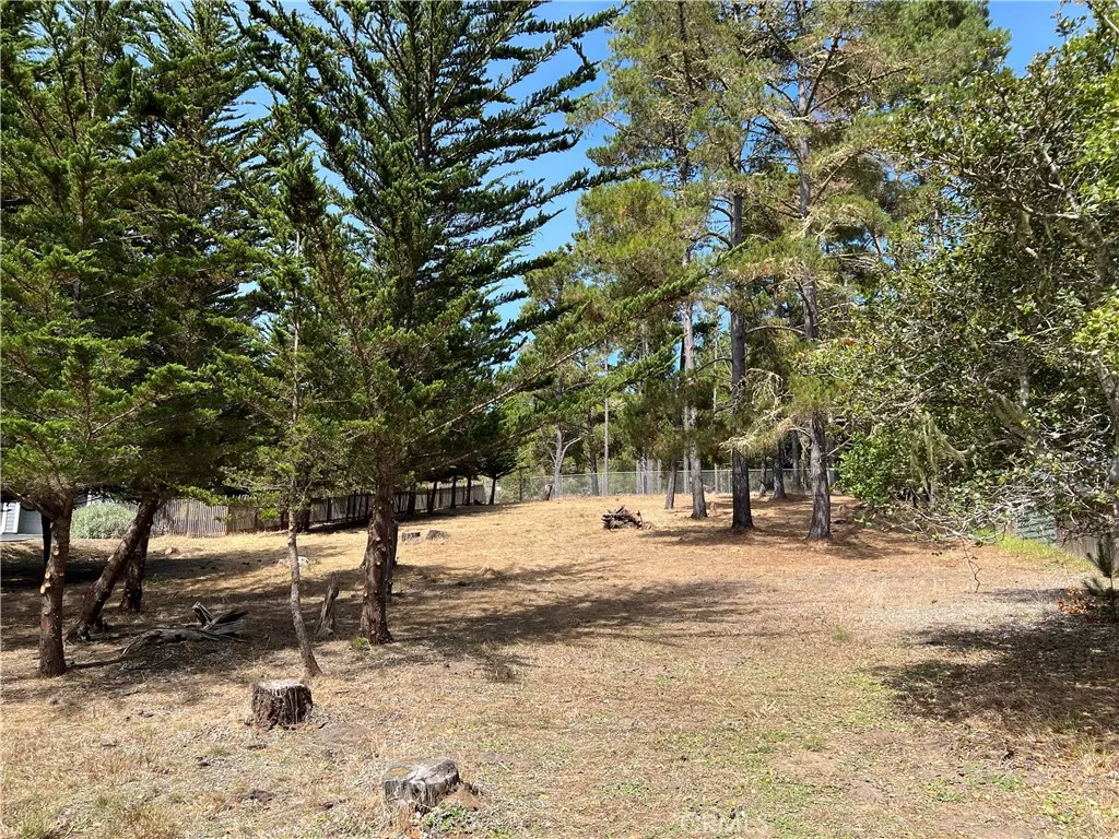 0 Warren Road Cambria, CA 93428 - Photo 17 of 29 a view of outdoor space with trees