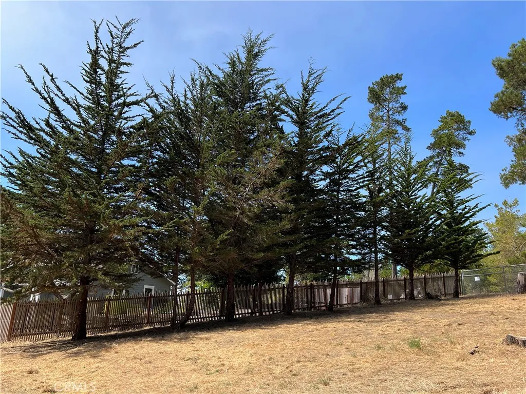 0 Warren Road Cambria, CA 93428 - Photo 20 of 29 a house view with a outdoor space