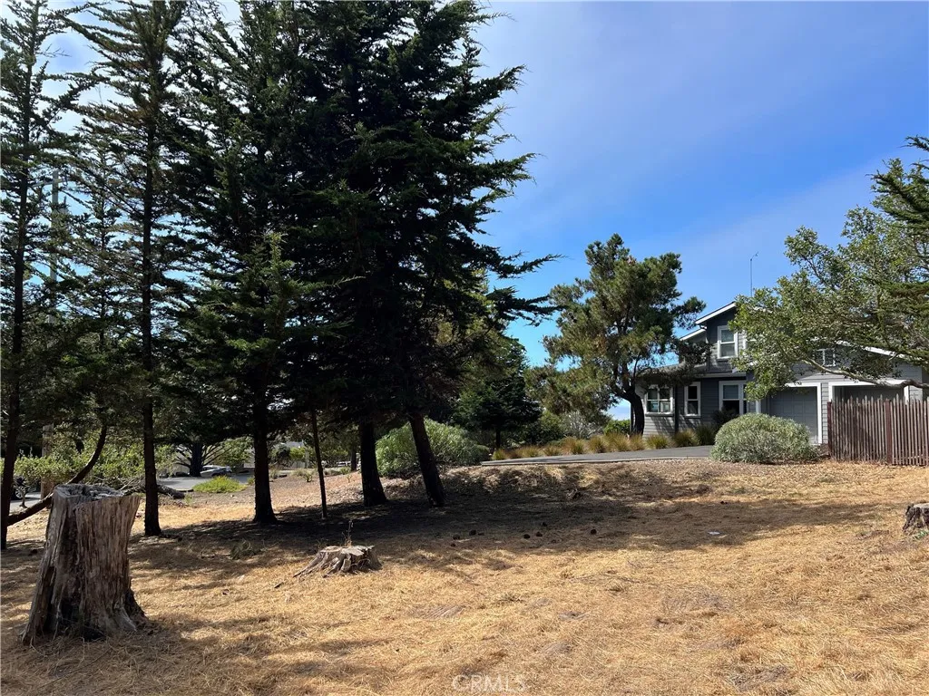 0 Warren Road Cambria, CA 93428 - Photo 21 of 29 a view of a yard with a tree